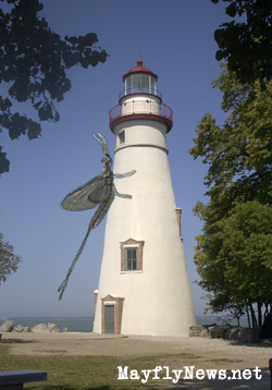 big mayfly attacking Marblehead Lighthouse