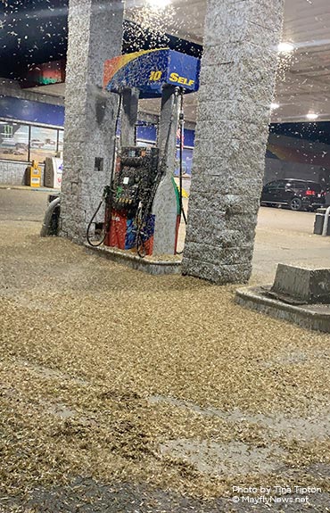 Mayflies swarming gas pumps - Luna Pier, MI